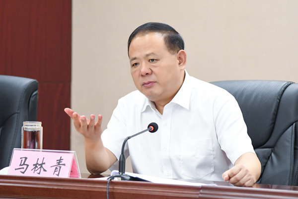 省政府食安办主任、省市场监管局书记马林青讲话